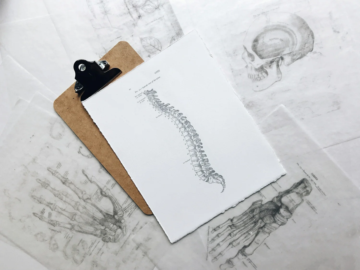 Common neck pain struggles