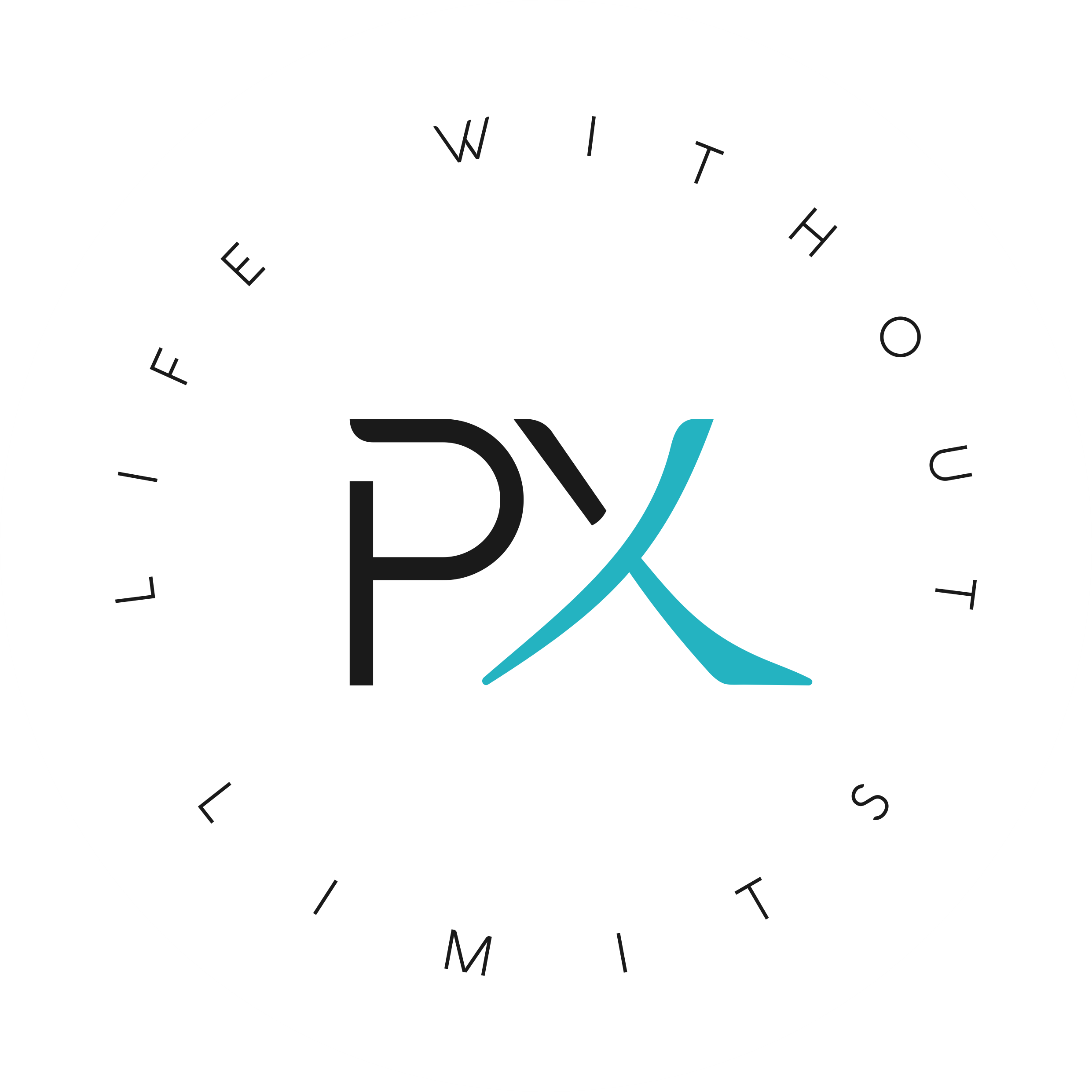 PhyziX Physical Therapy mark